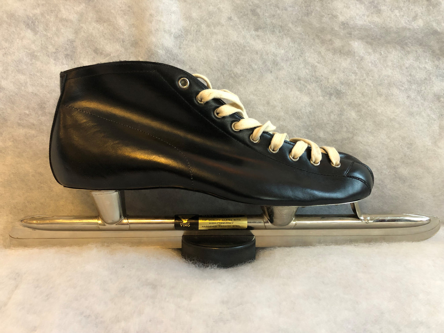 Zandstra ving racer 100