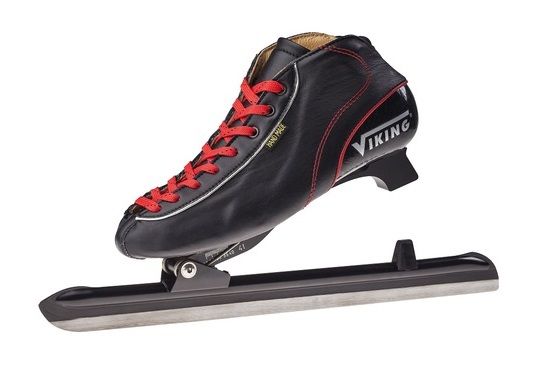 Viking Nagano Silver